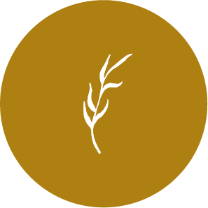 Monograma Seprarador Floral